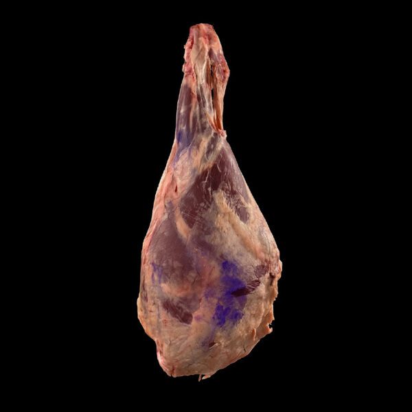Codillo/Paleta